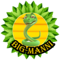 Big-Manni