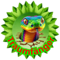 Traumfaenger