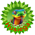 Husiega